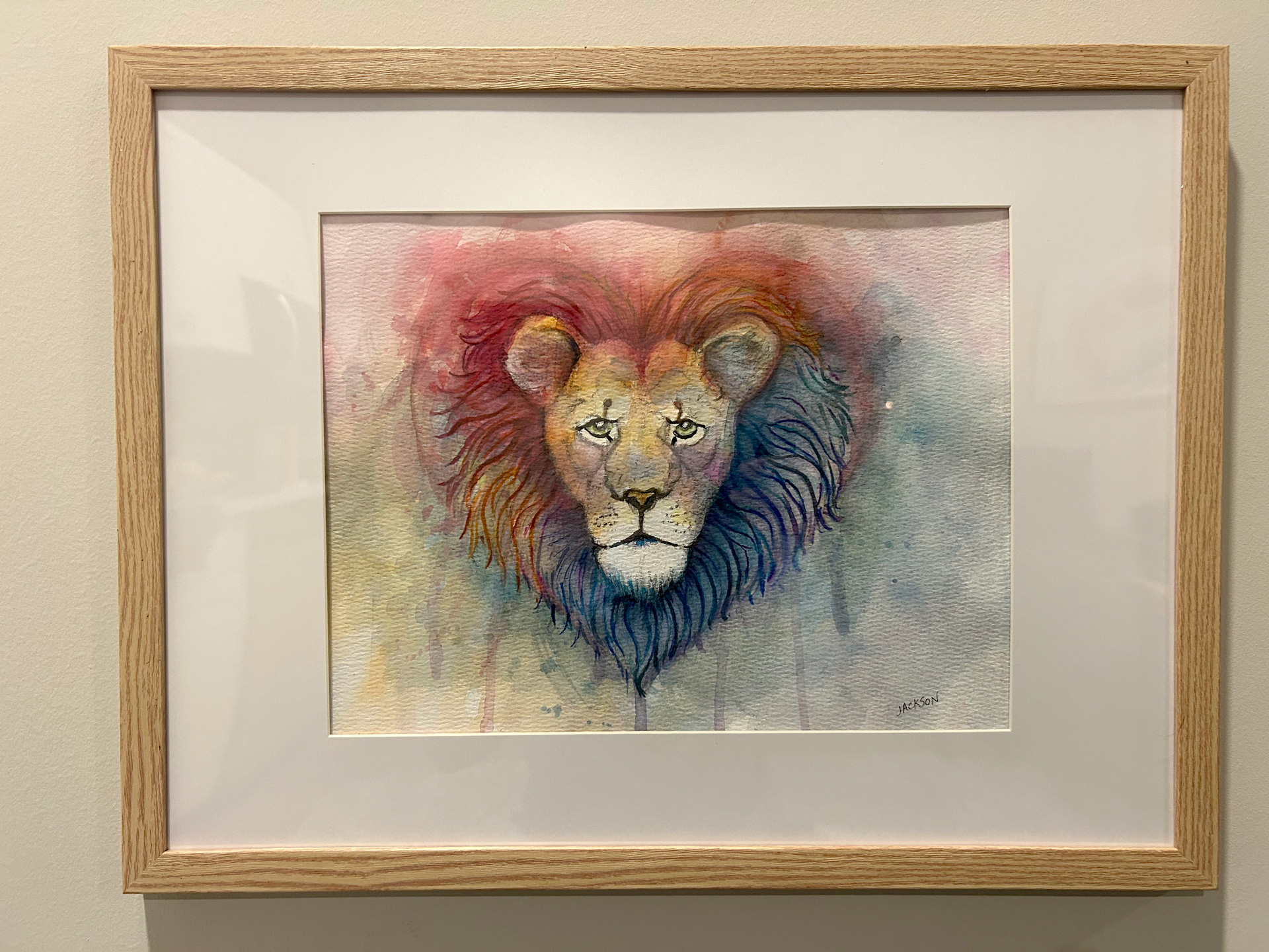 Original framed watercolor painting of a lion in soft red, pink, and blue washes