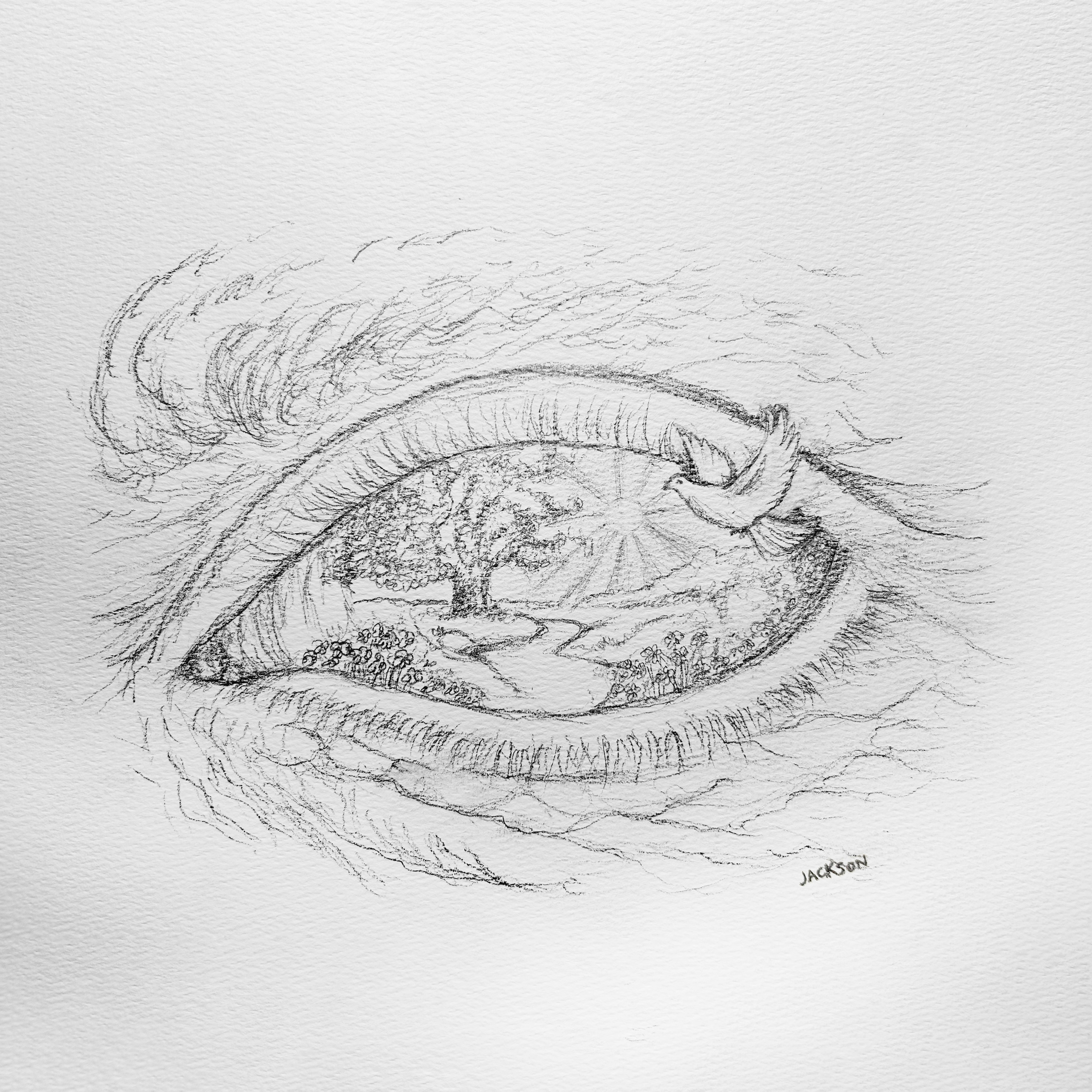 Gardener's Eye — graphite drawing