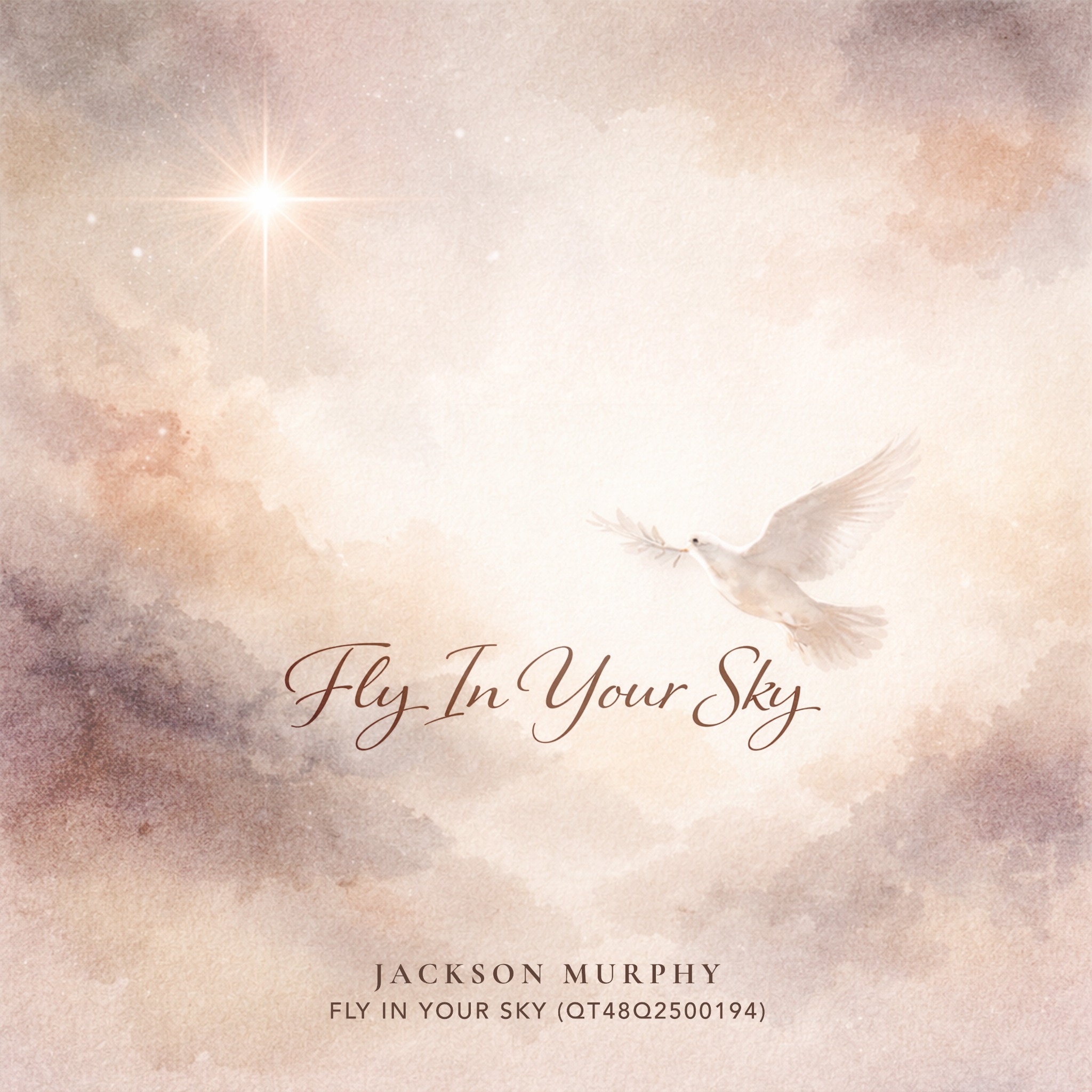 Fly In Your Sky cover art