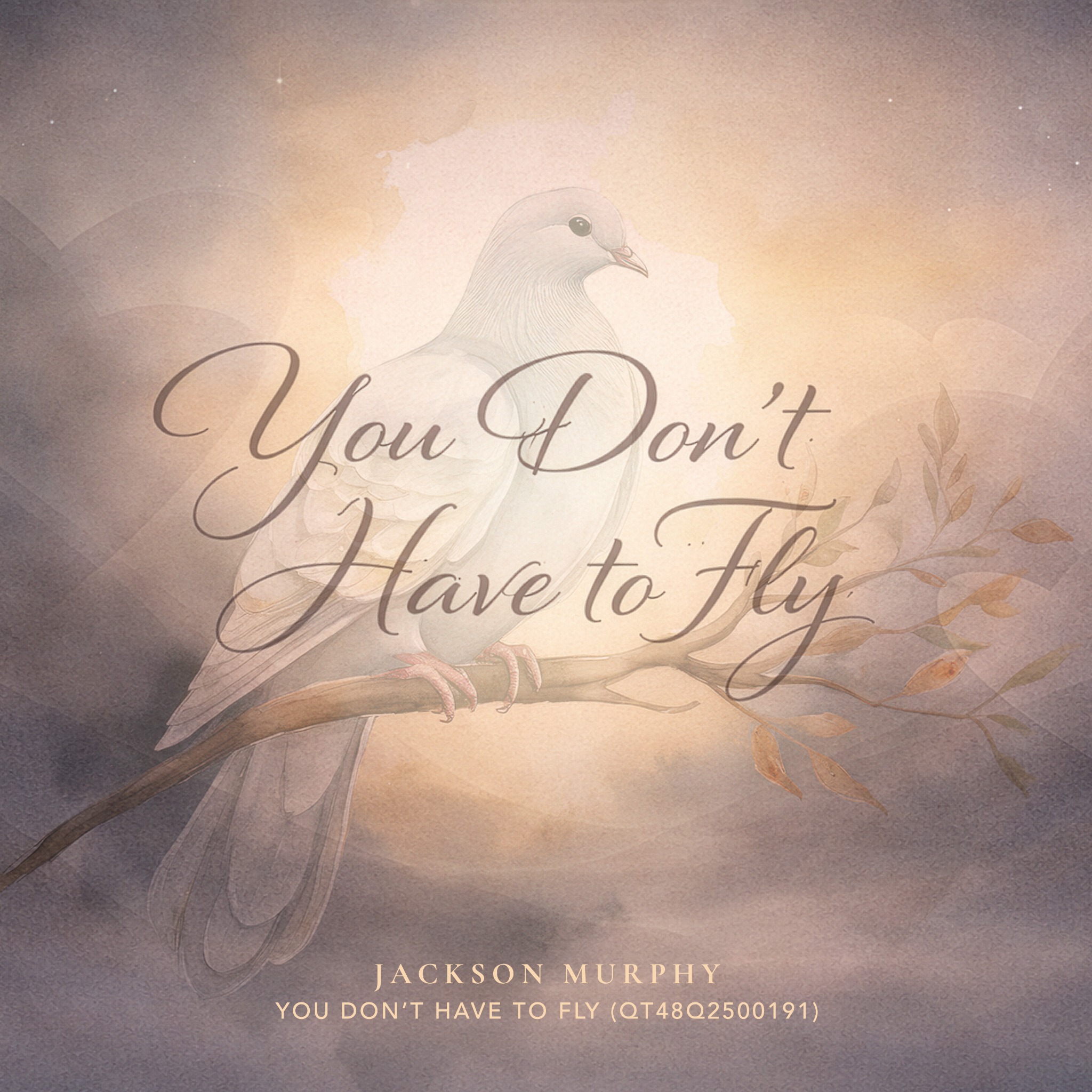 You Don’t Have to Fly cover art