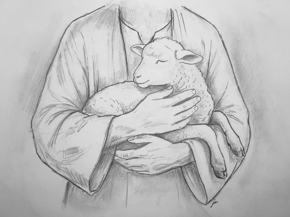 The Shepherd holds the lamb gently in the crook of his arm