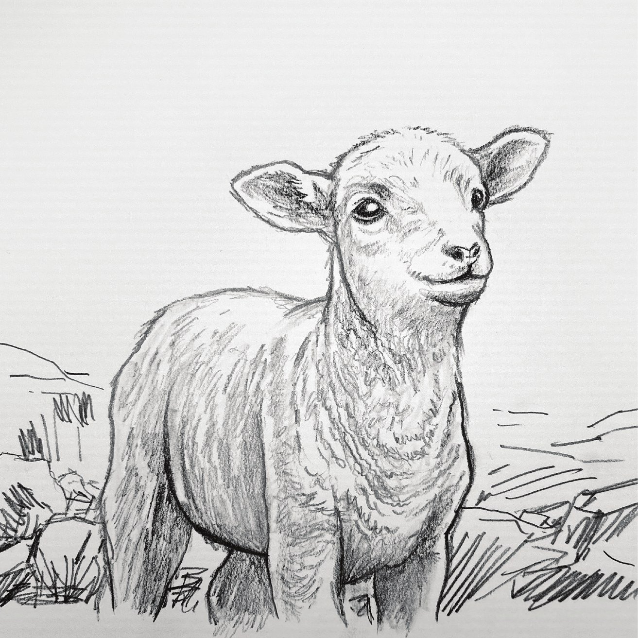 Interior illustration: close-up of the lamb