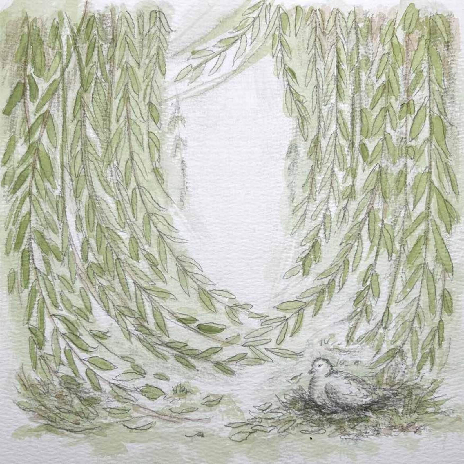 Interior illustration: the draping branches of the willow forming a quiet archway
